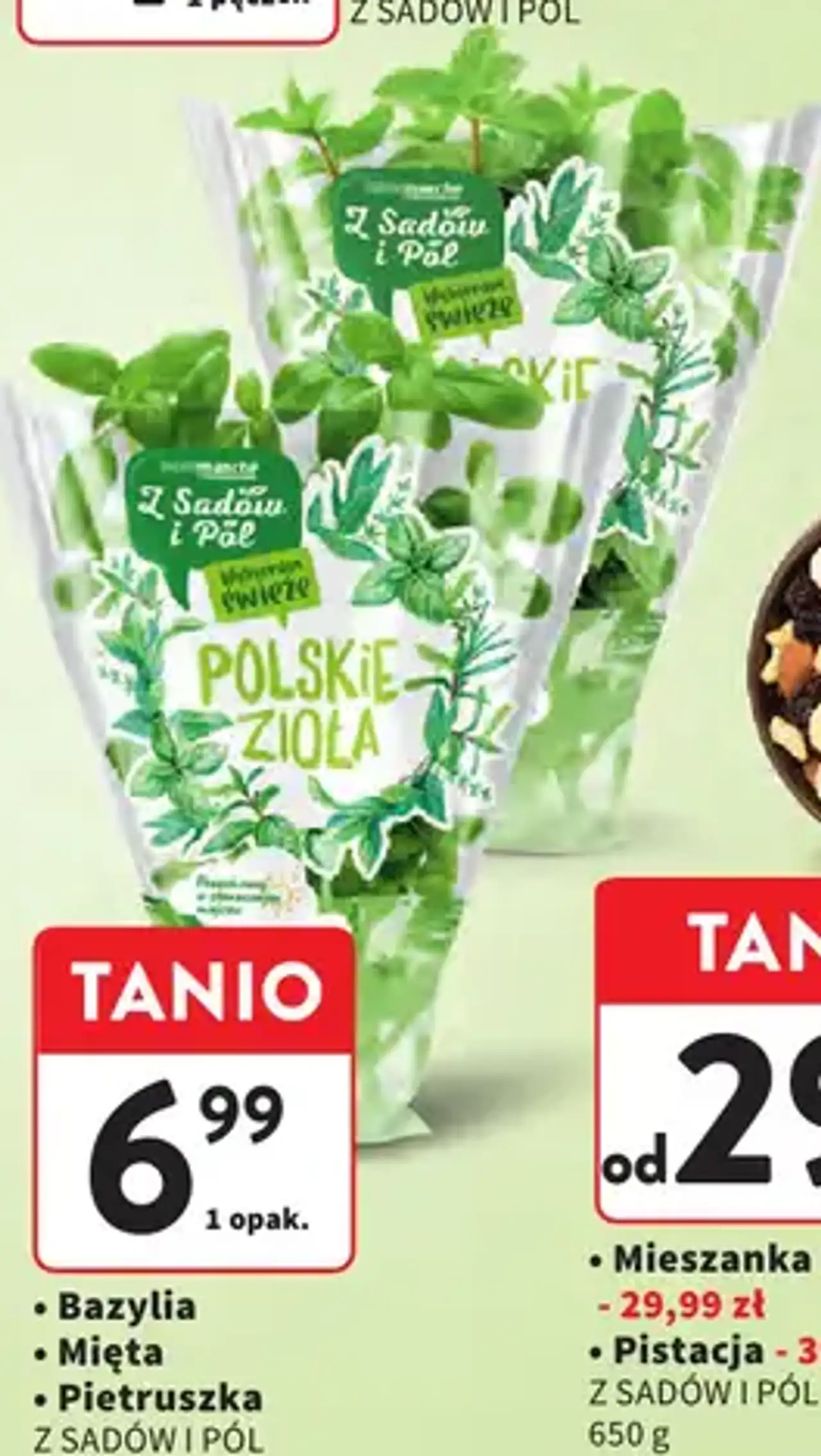 Bazylia, Mięta lub Pietruszka w doniczce Z Sadów i Pól