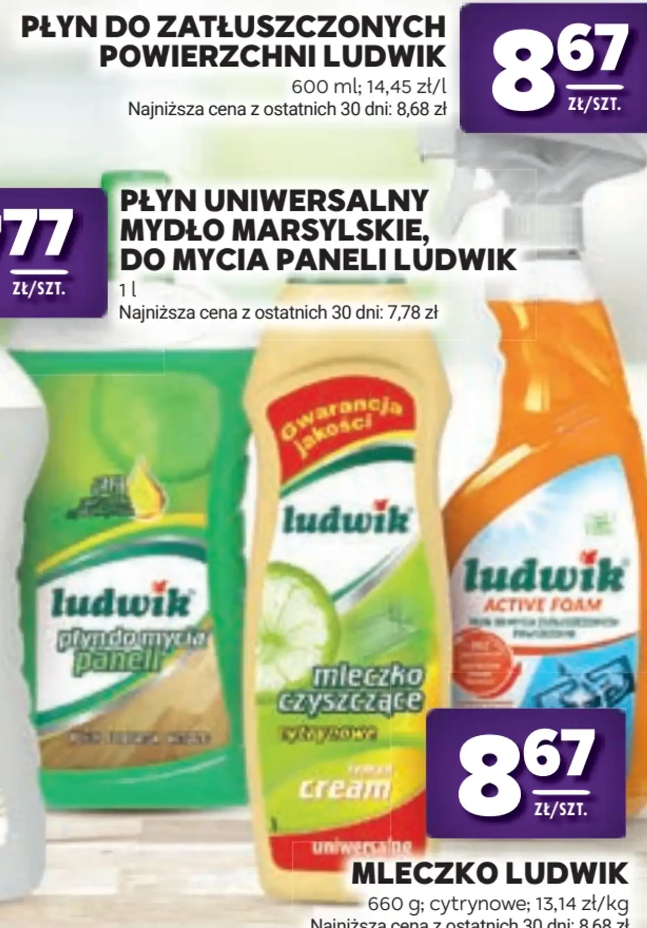 Płyn do zatłuszczonych powierzchni, Mleczko do czyszczenia Ludwik