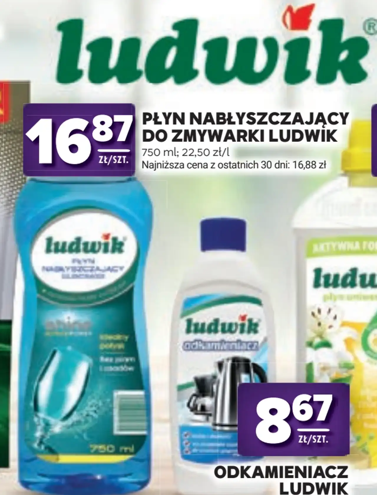 Płyn nabłyszczający do zmywarki Ludwik