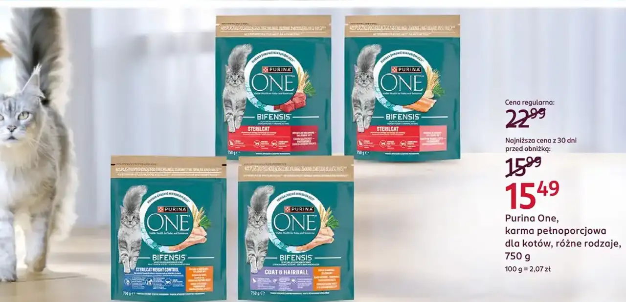 Purina One, karma pełnoporcjowa dla kotów, różne rodzaje