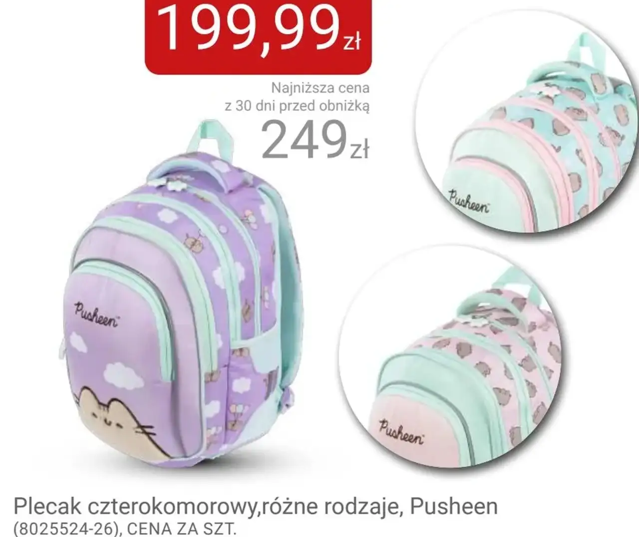 Plecak czterokomorowy, różne rodzaje, Pusheen