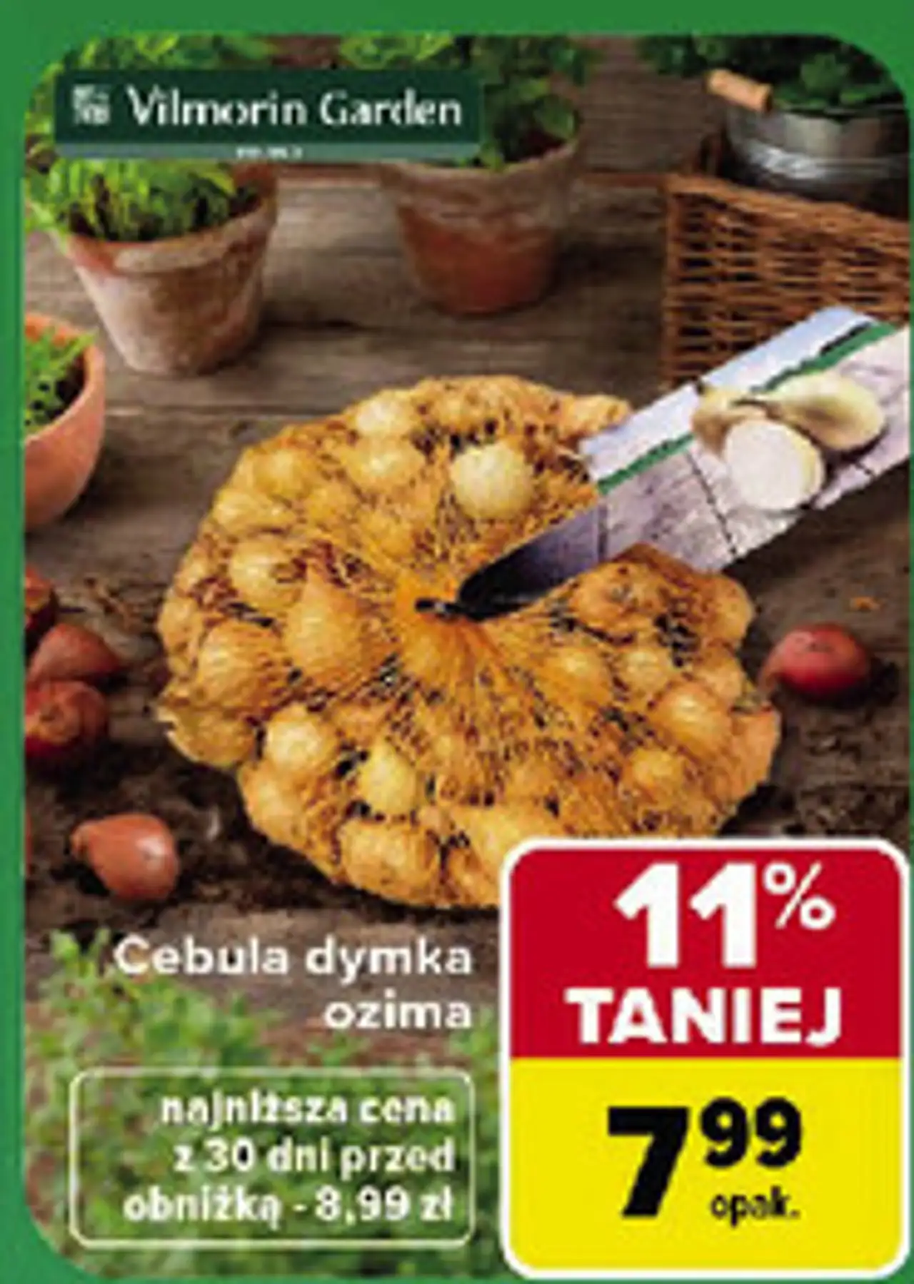 Cebula dymka ozima Vilmorin Garden