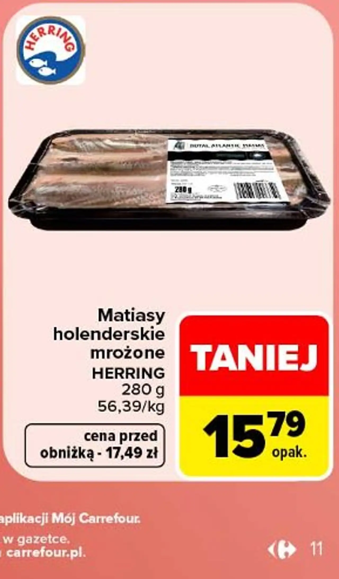 HERRING Matiasy holenderskie mrożone