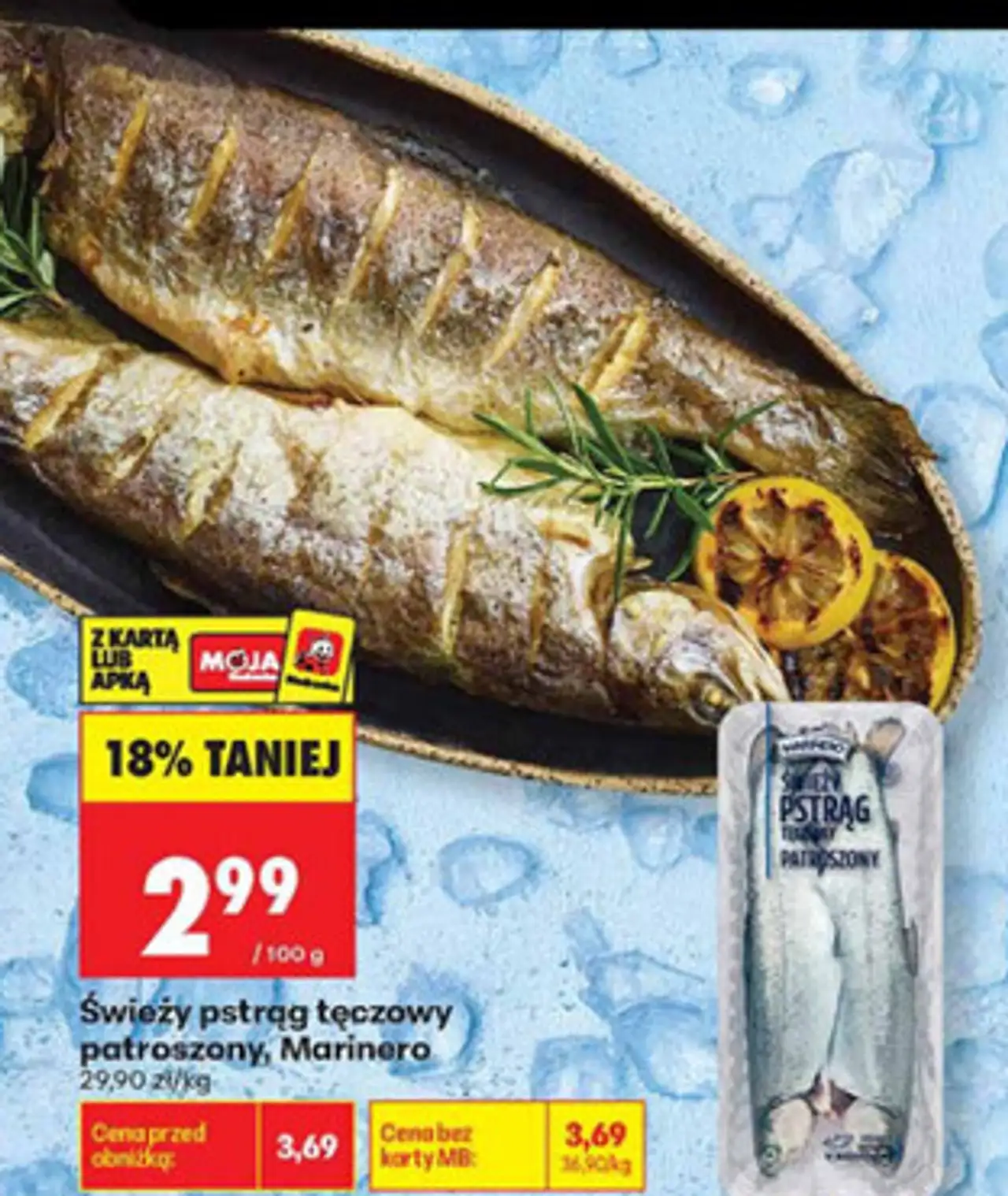 Świeży pstrąg tęczowy patroszony Marinero