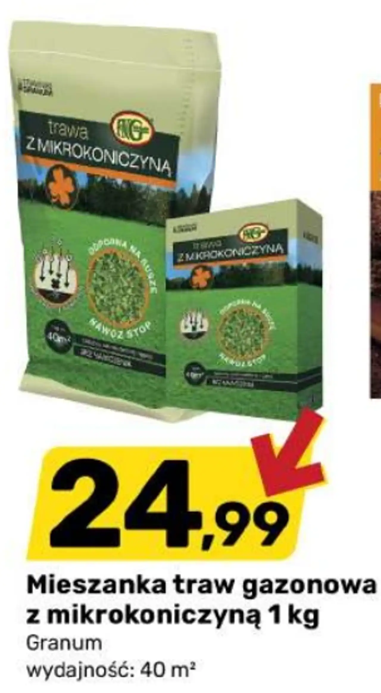 Mieszanka traw gazonowa z mikrokoniczyną Granum 1 kg