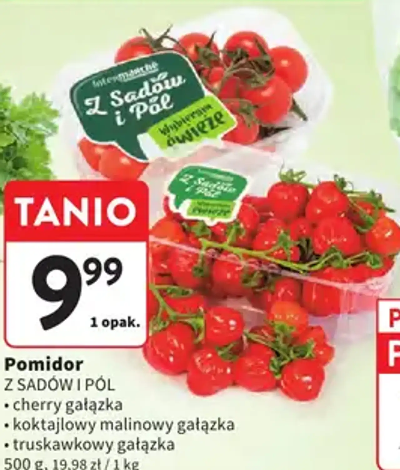 Z Sadów i Pól Pomidor cherry gałązka / koktajlowy malinowy gałązka / truskawkowy gałązka