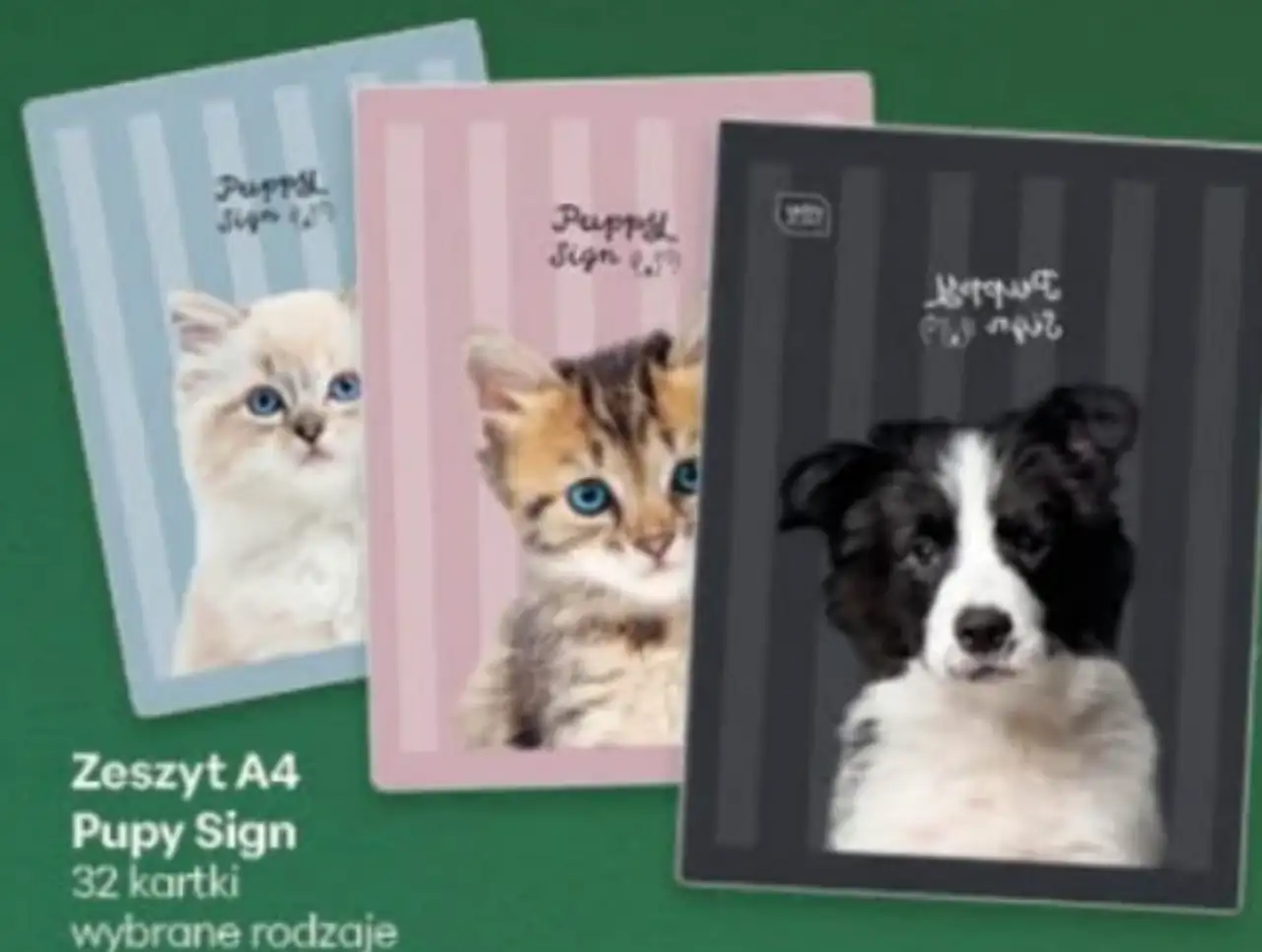 Zeszyt A4 Pupy Sign 32 kartki wybrane rodzaje