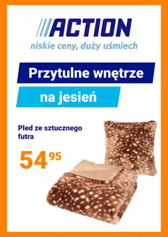 newspaper - Dom i ogród - Action