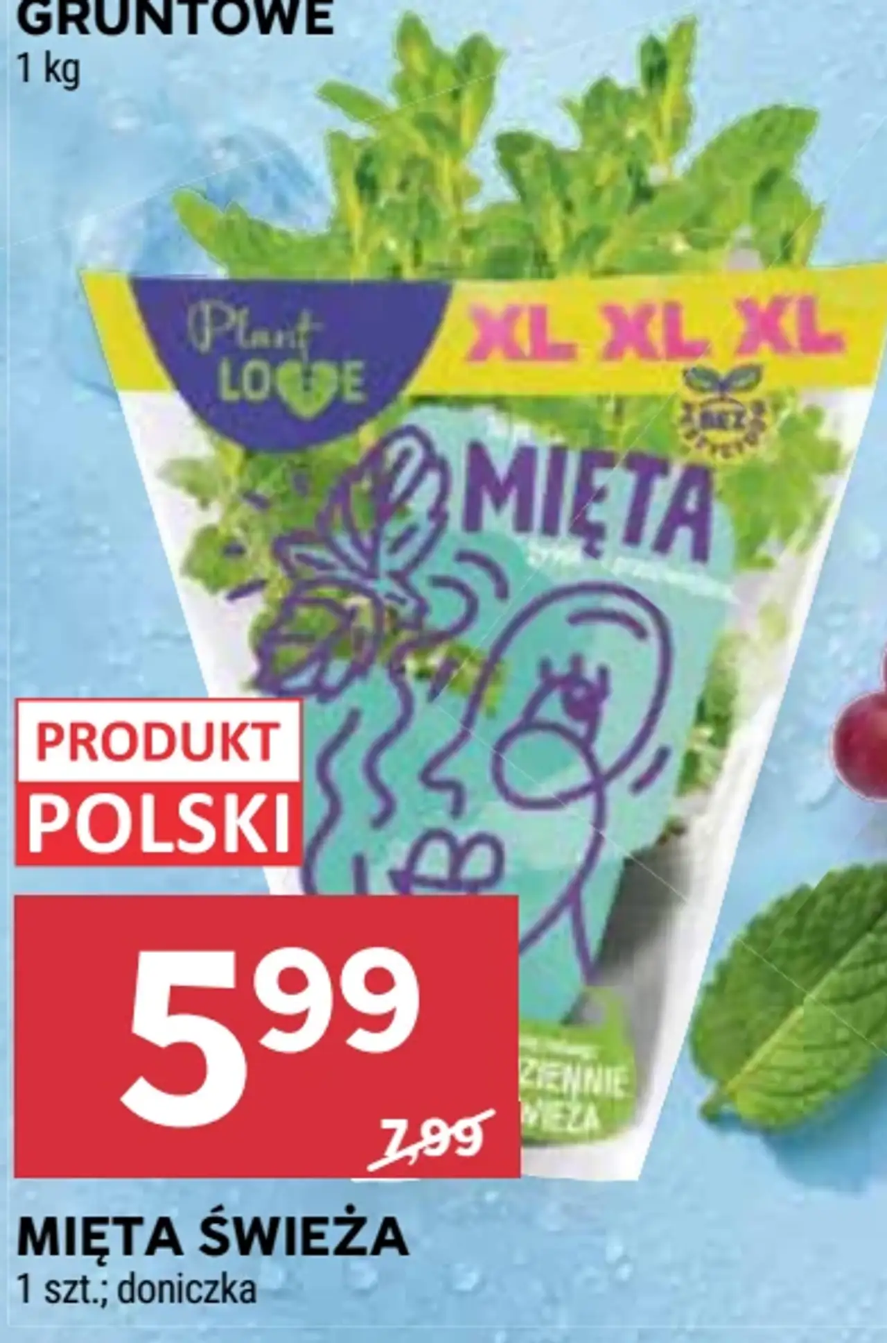 Plant Foodie Mięta świeża