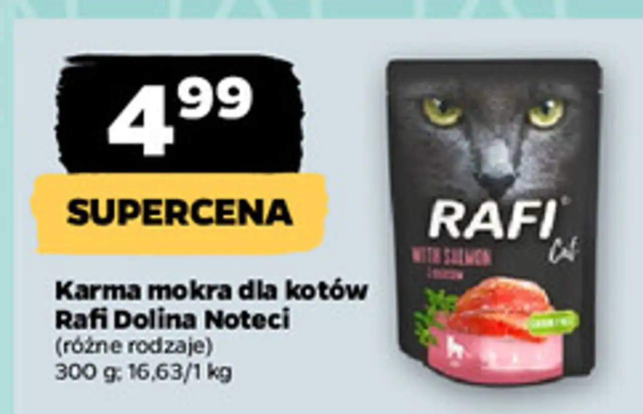 Karma dla kota z łososiem Rafi Cat