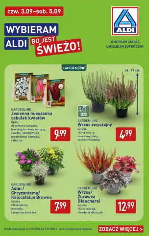 newspaper - Spożywcze - Aldi