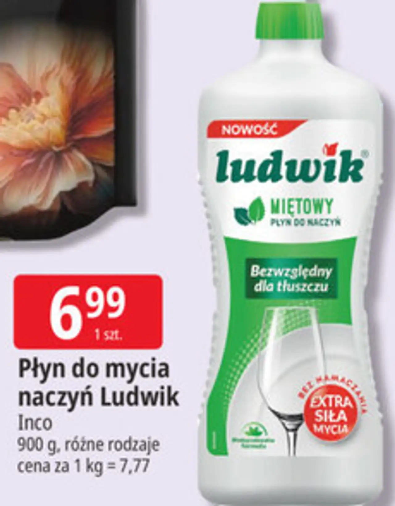 Płyn do mycia naczyń miętowy Ludwik
