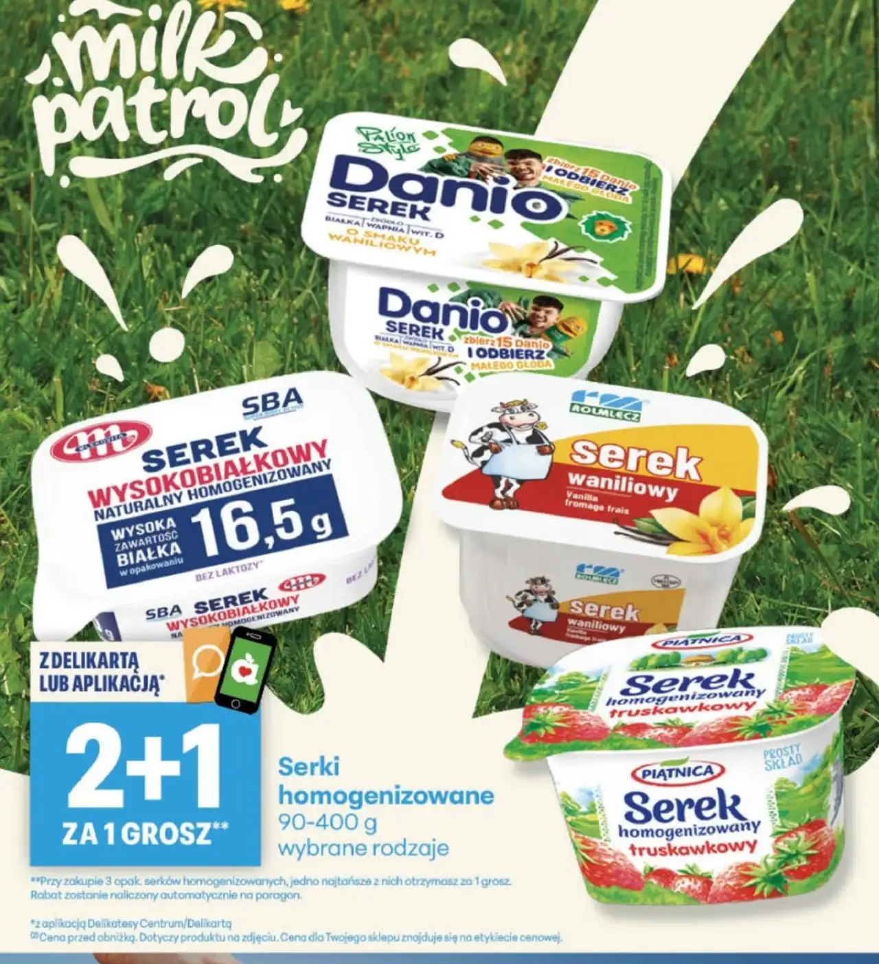 Serki homogenizowane wybrane rodzaje Danio, SBA, Rolmlecz, Piątnica