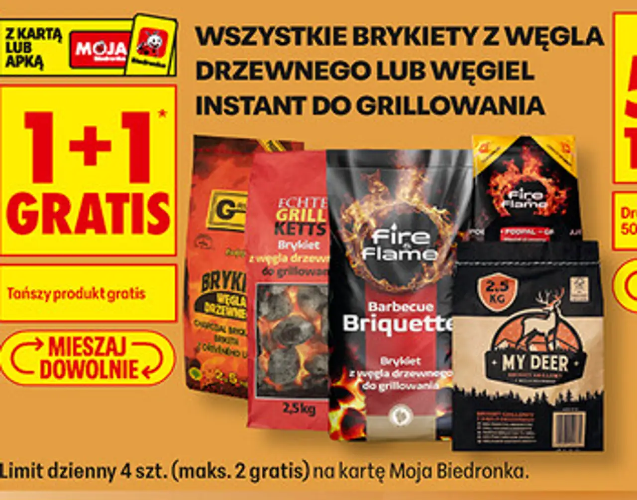 Wszystkie brykiety z węgla drzewnego lub węgiel instant do grillowania
