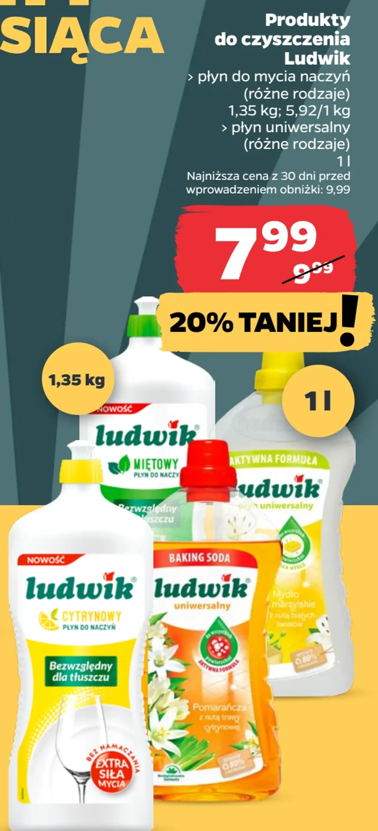Produkty do czyszczenia Ludwik (płyn do mycia naczyń, płyn uniwersalny)