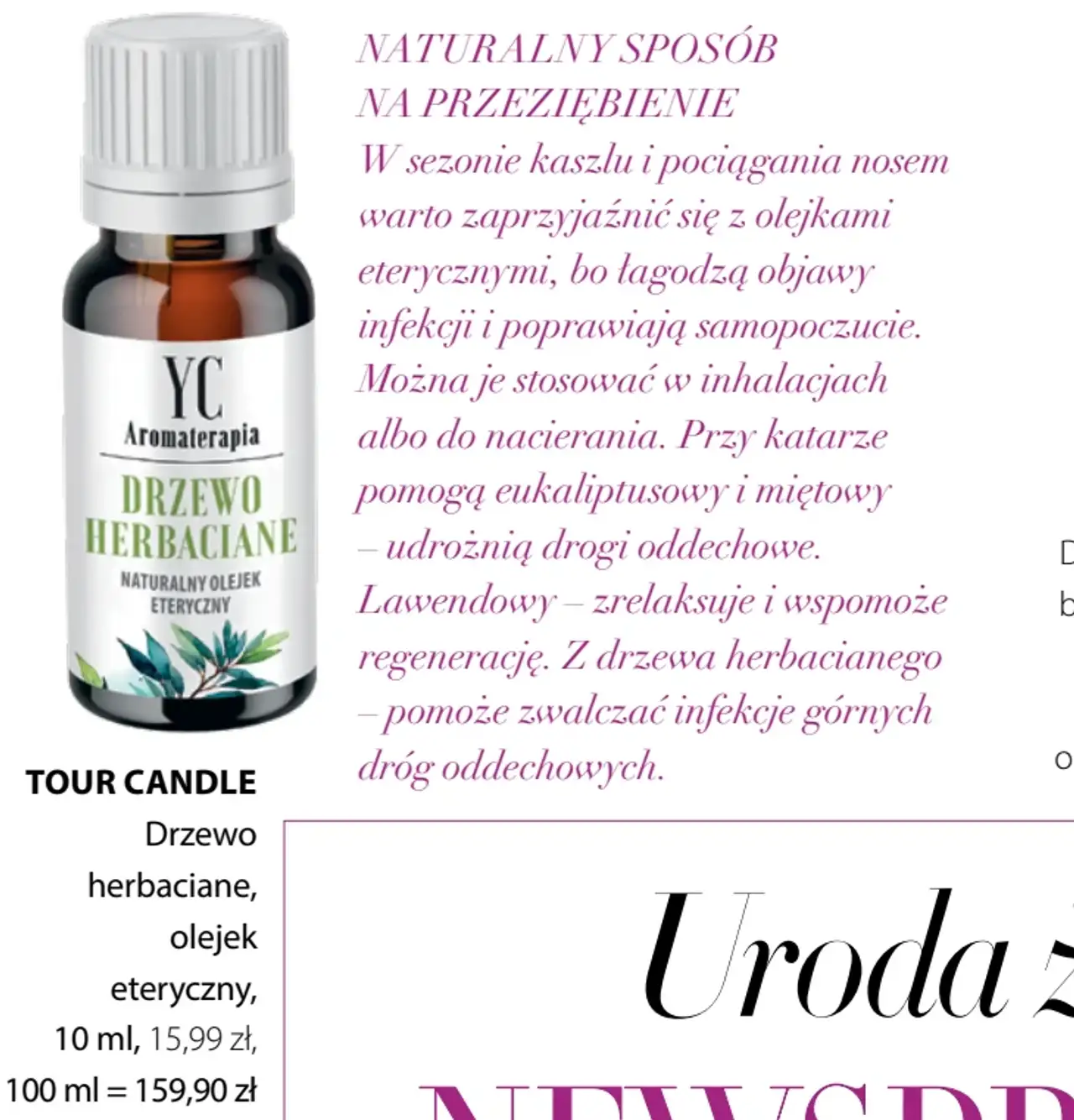 TOUR CANDLE Drzewo herbaciane, olejek eteryczny