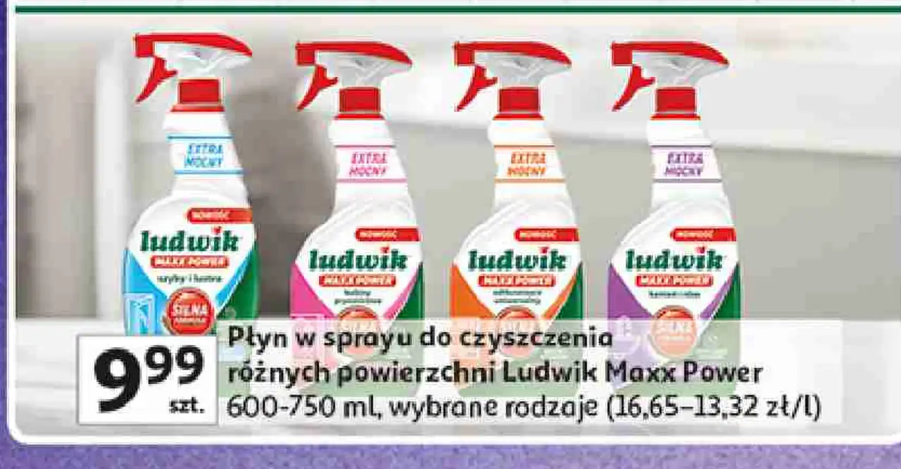 Płyn w sprayu do czyszczenia różnych powierzchni Ludwik Maxx Power