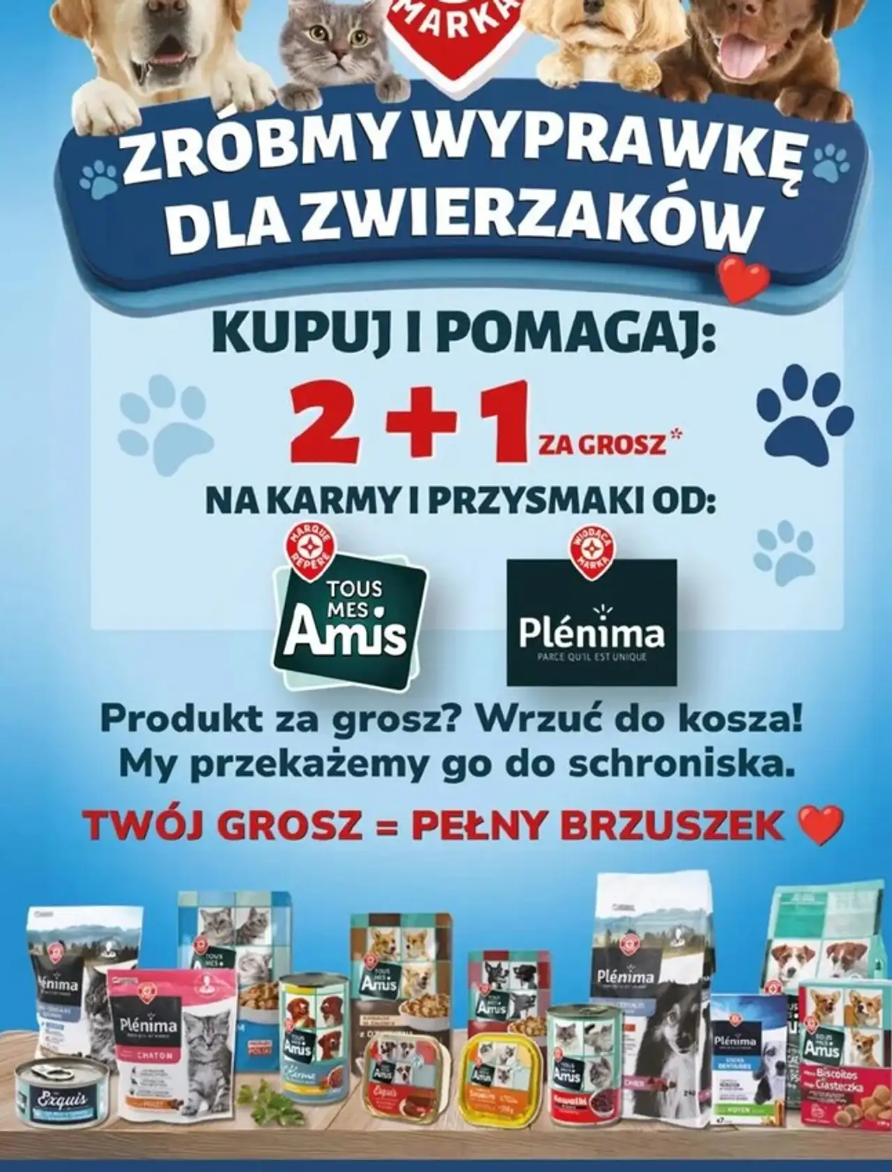 Karma pasztet drób z marchewką Wiodąca Marka Tous Mes Amis