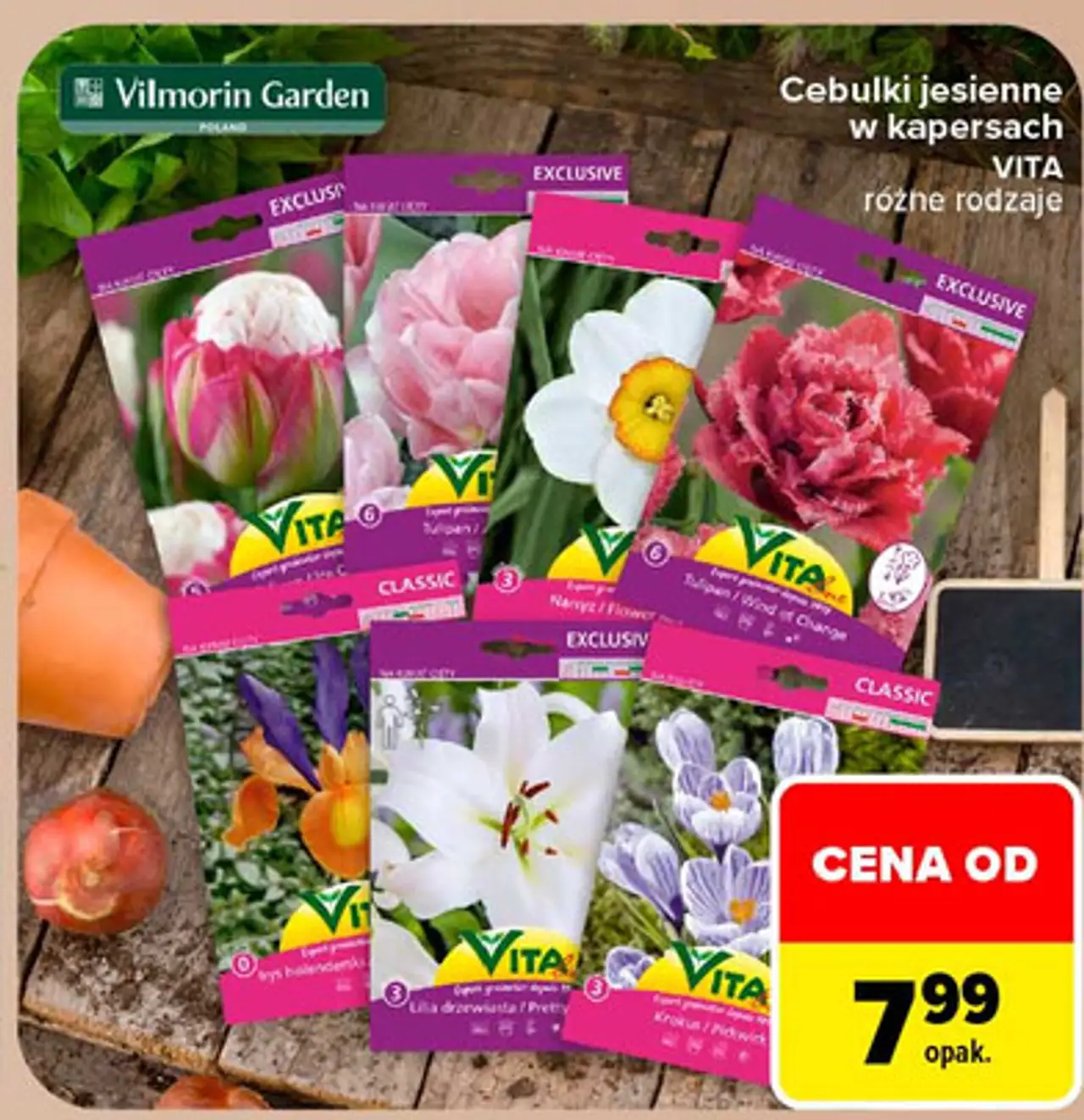 Cebulki jesienne w kapersach VITA różne rodzaje Vilmorin Garden