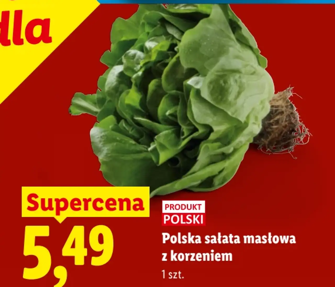 Polska sałata masłowa z korzeniem Ryneczek Lidla