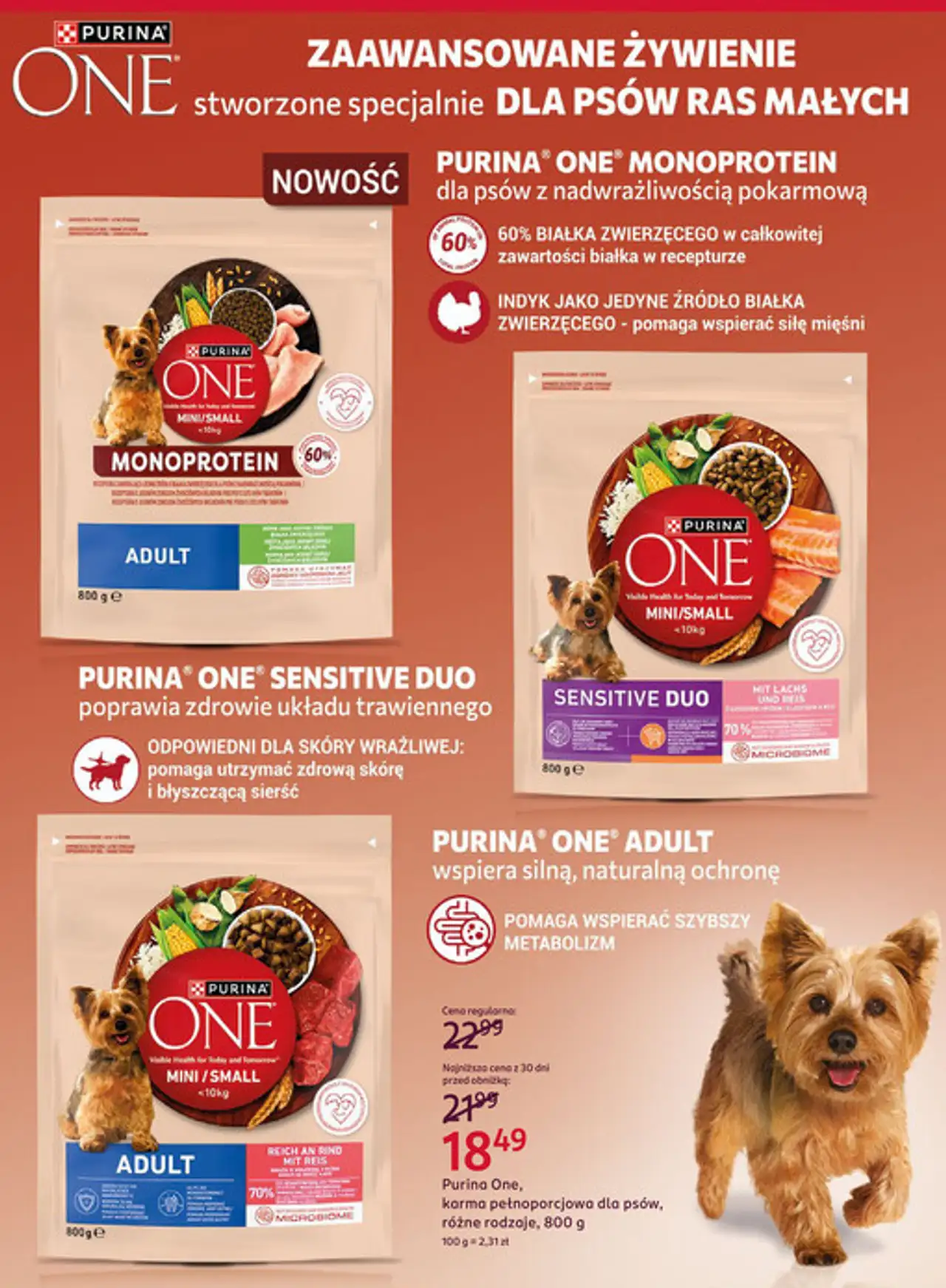 Purina One, karma pełnoporcjowa dla psów, różne rodzaje