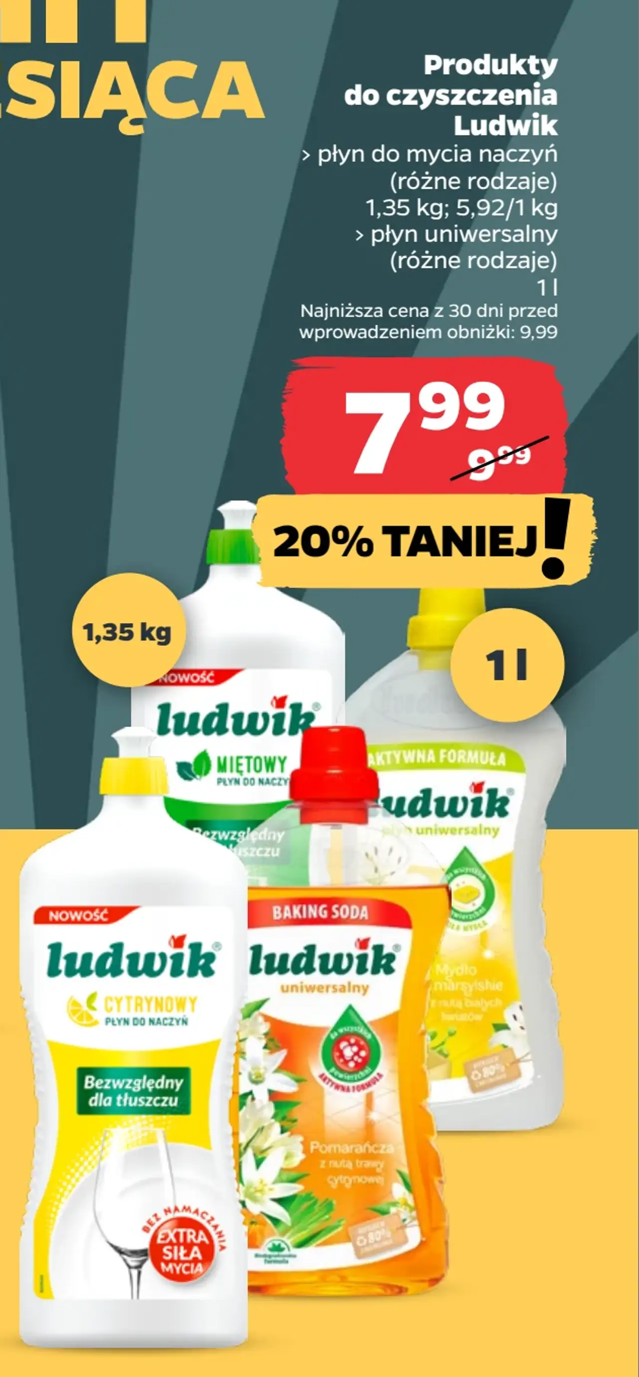 Ludwik Produkty do czyszczenia (płyn do mycia naczyń / płyn uniwersalny)
