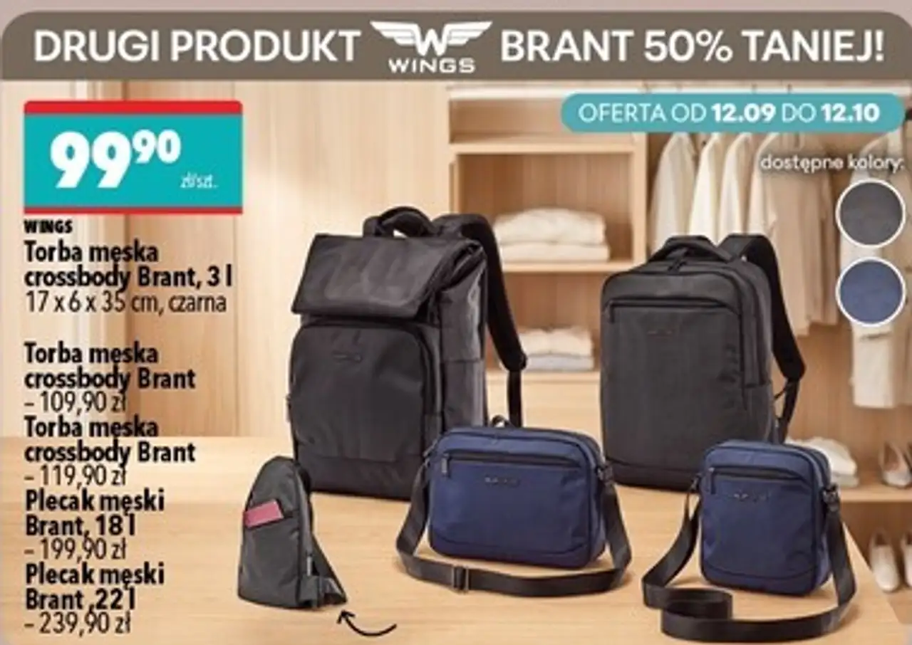 Wings Brant Torba męska crossbody i plecaki