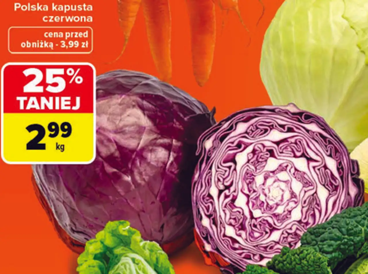 Polska kapusta czerwona