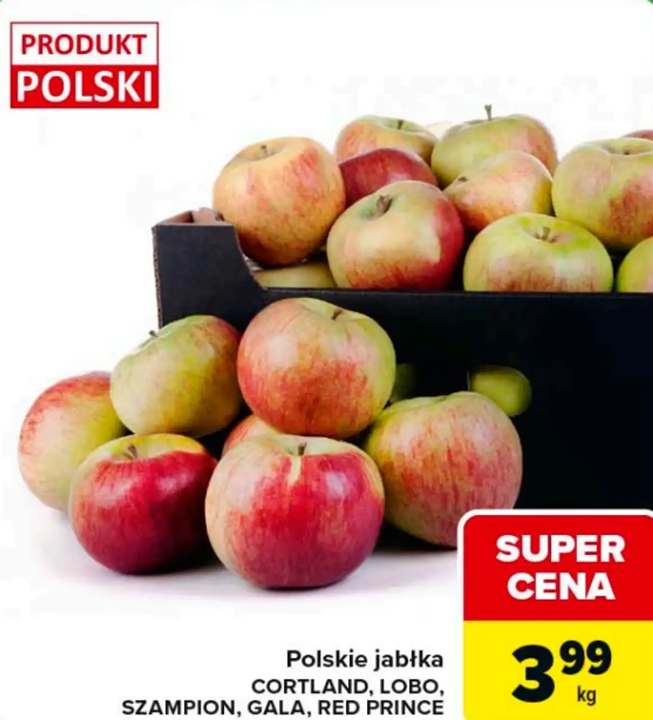 Polskie jabłka CORTLAND, LOBO, SZAMPION, GALA, RED PRINCE