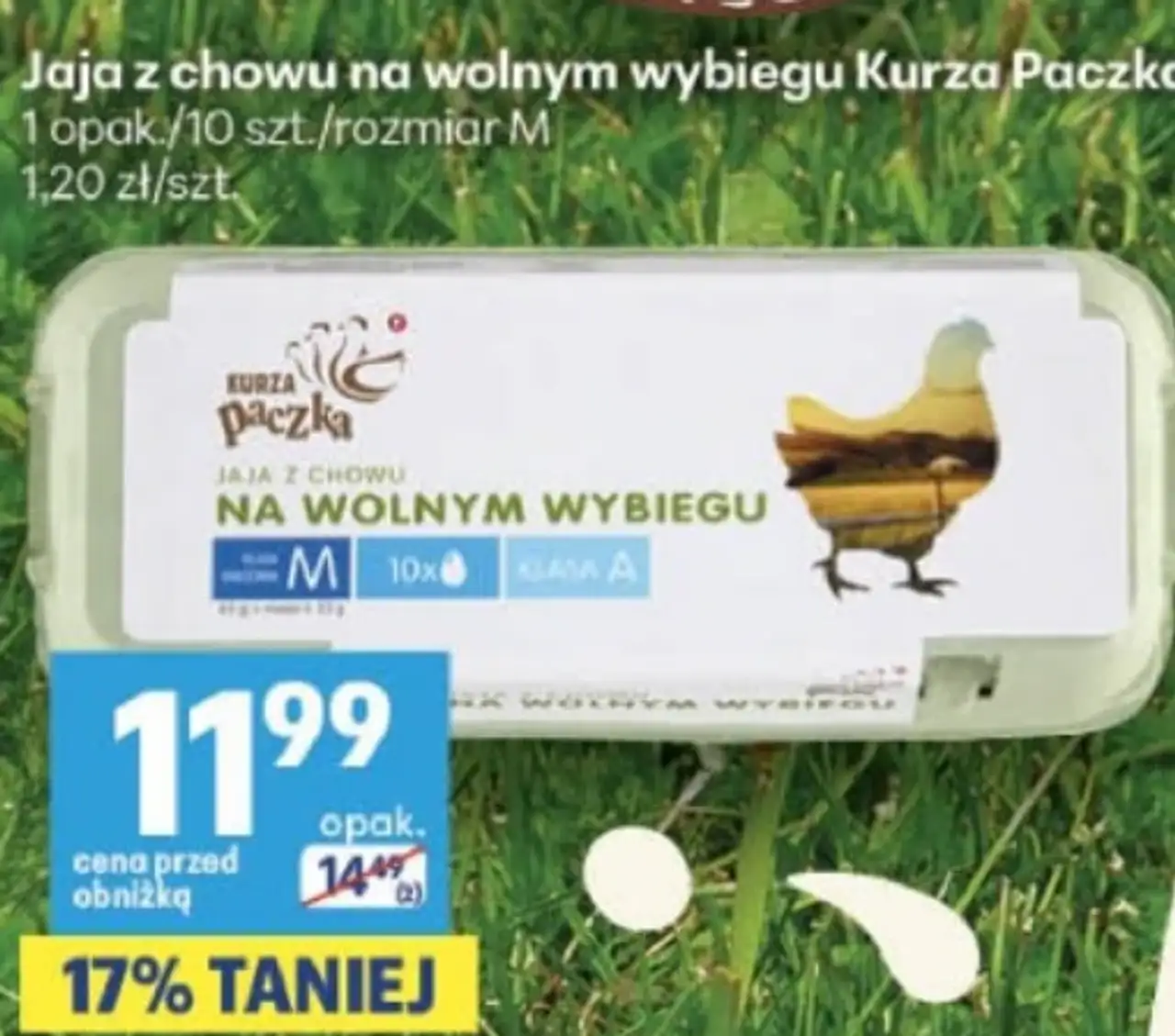 Jaja z chowu na wolnym wybiegu Kurza Paczka