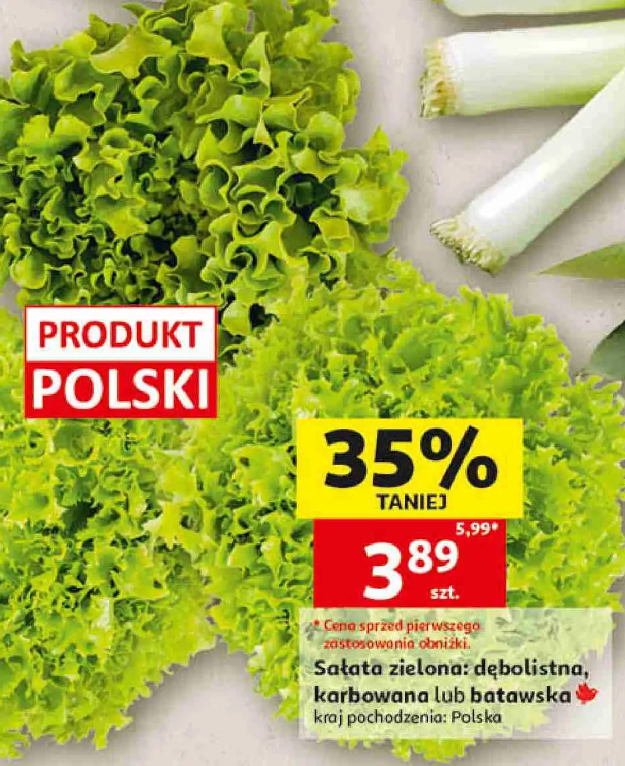 Sałata zielona : dębolistna, karbowana lub batawska