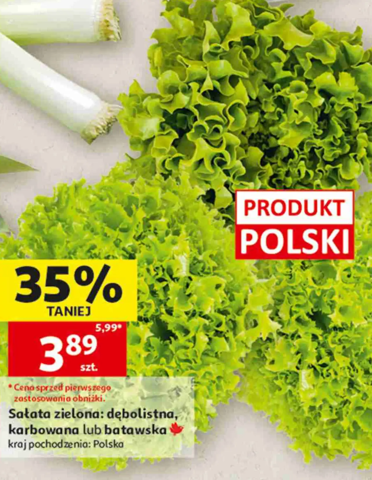 Sałata zielona: dębolistna, karbowana lub batawska