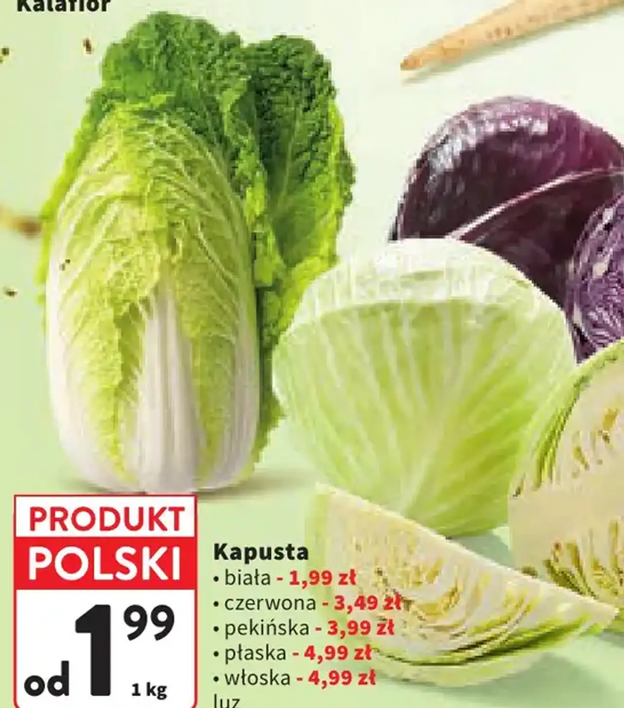 Kapusta (biała / czerwona / pekińska / płaska / włoska) luz