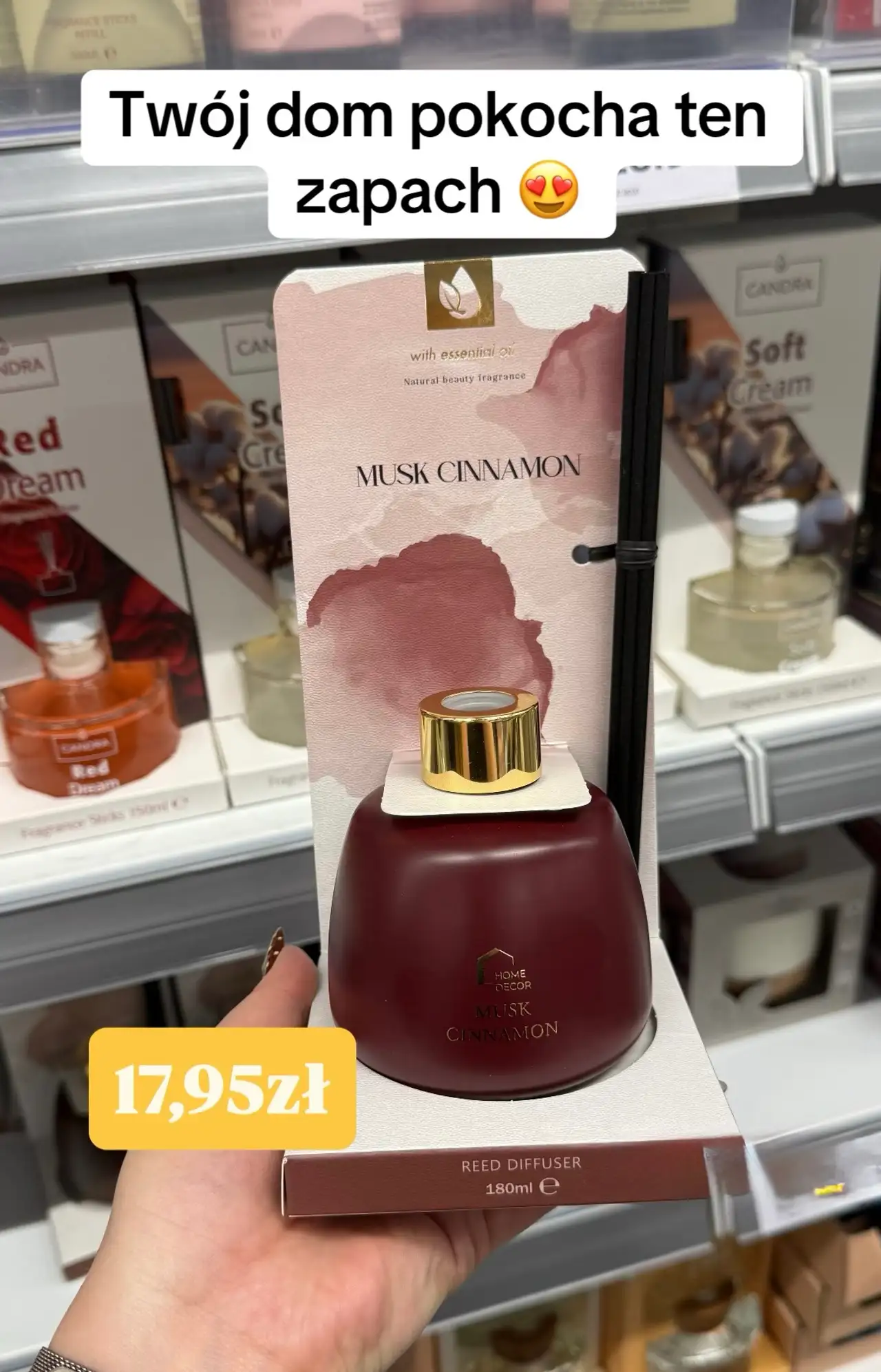 Home Decor Musk Cinnamon Reed Diffuser dyfuzor zapachowy