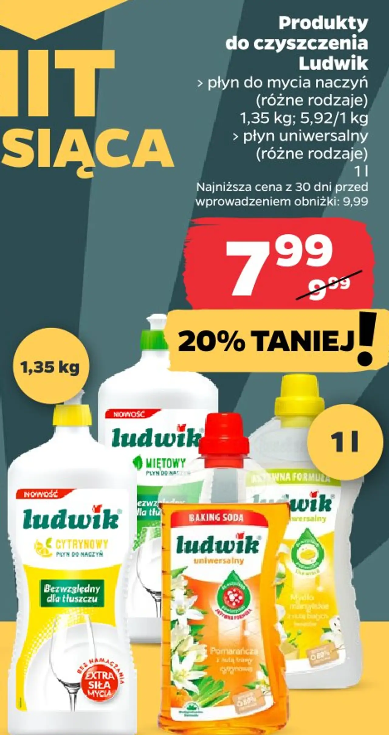 Płyn do mycia naczyń lub płyn uniwersalny Ludwik