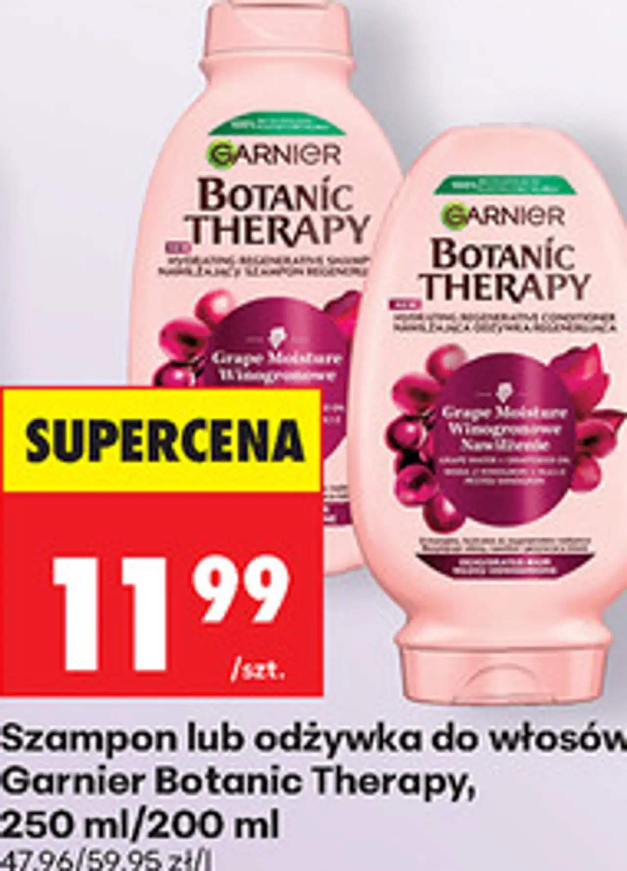 Szampon lub odżywka do włosów Garnier Botanic Therapy, 250 ml/200 ml