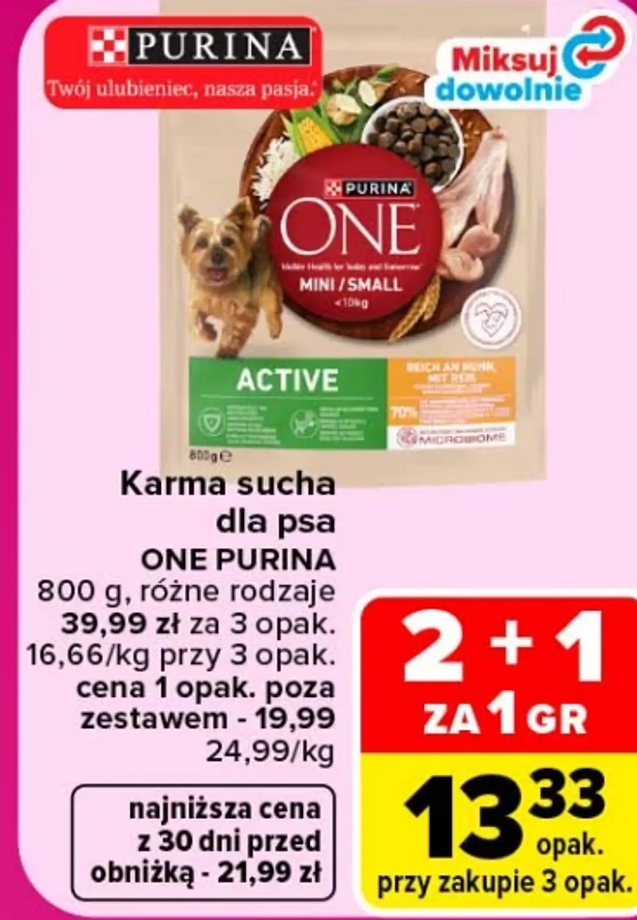 Karma sucha dla psa ONE PURINA różne rodzaje