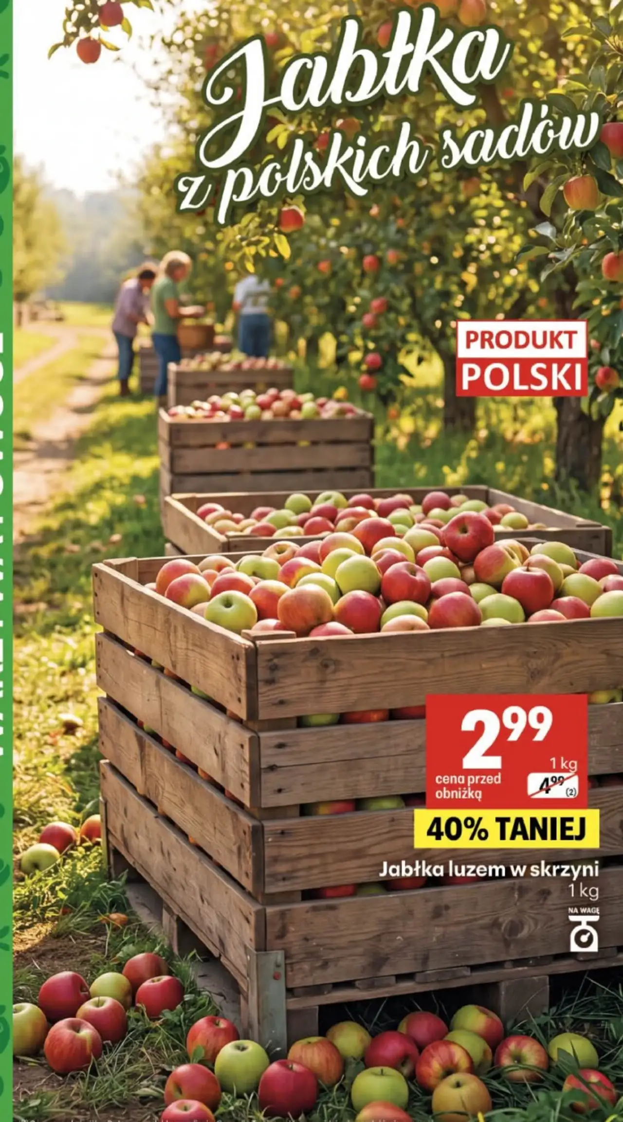 Jabłka luzem w skrzyni