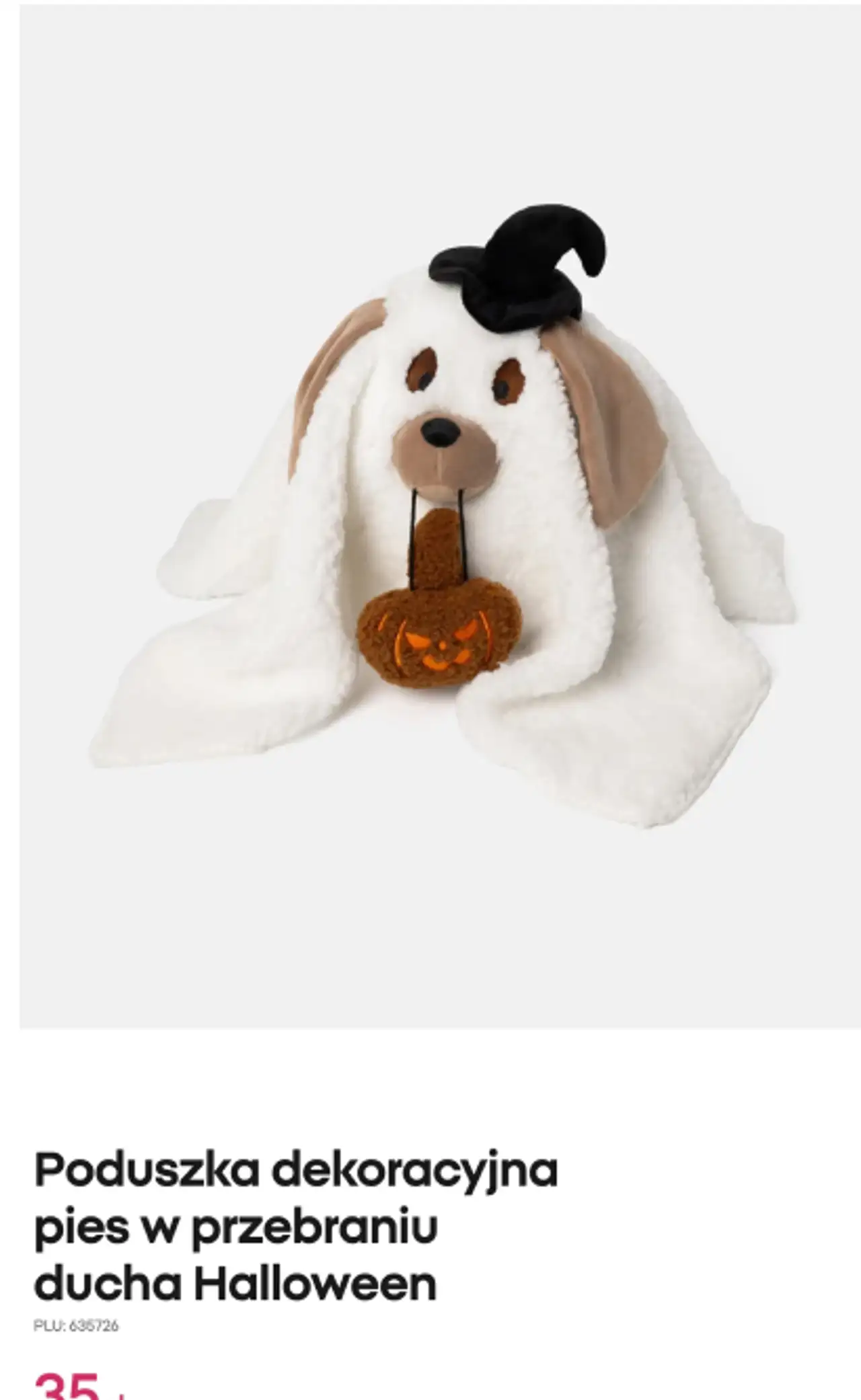Poduszka dekoracyjna pies w przebraniu ducha Halloween