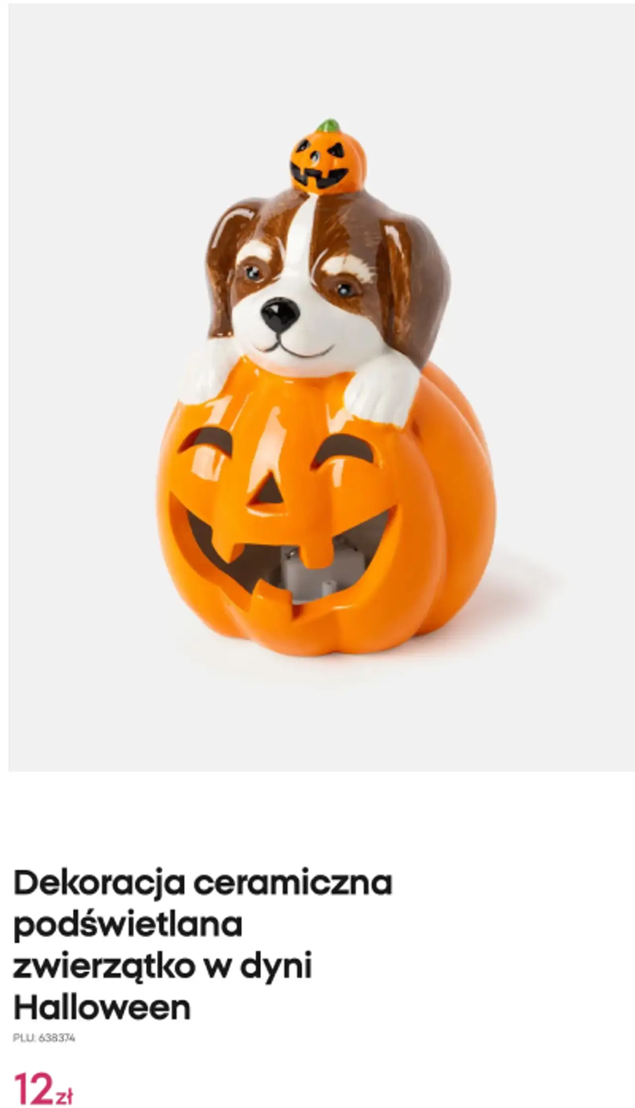 Dekoracja ceramiczna podświetlana zwierzątko w dyni Halloween