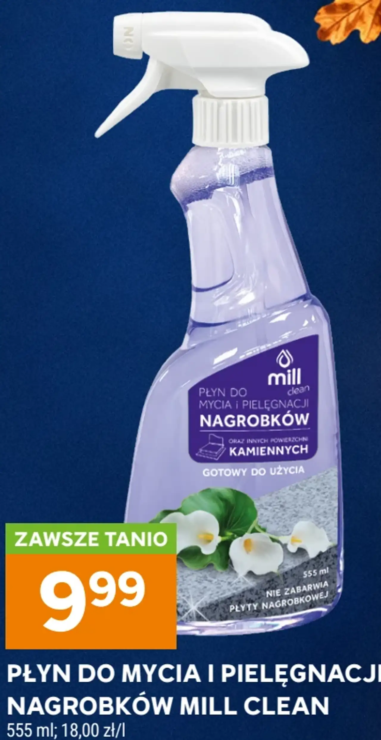 Płyn do mycia i pielęgnacji nagrobków Mill Clean