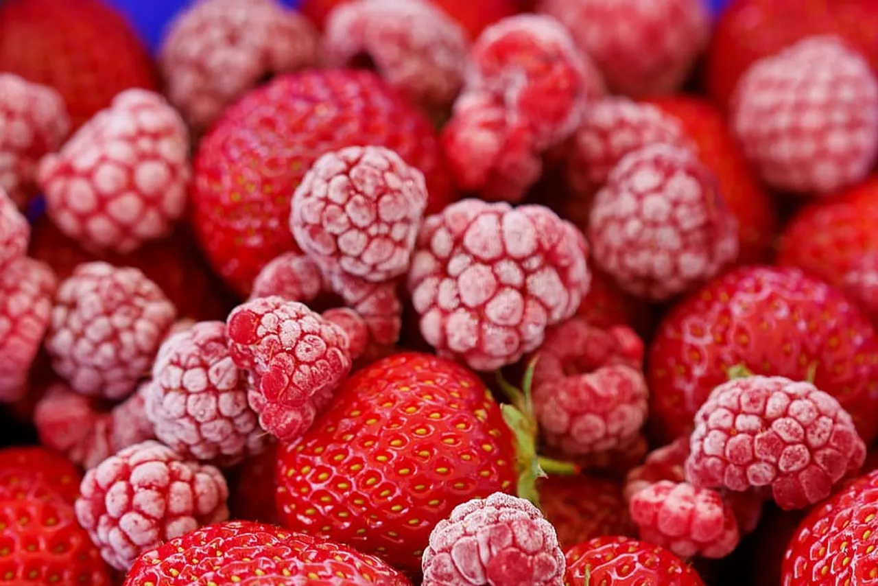 post image - Quels aliments supportent bien la congélation maison ?