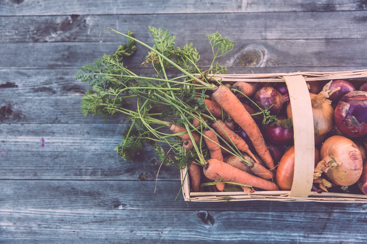 Carottes et oignons dans un panier