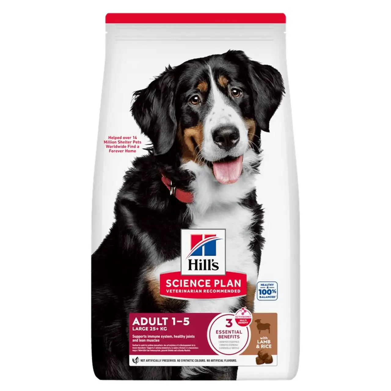 Hill's Croquettes pour chien Science Plan, Large Breed Adult avec de l’agneau et du riz 14 kg
