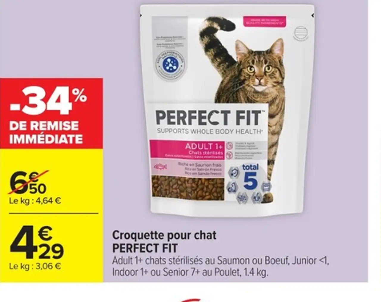 Croquette pour chat PERFECT FIT