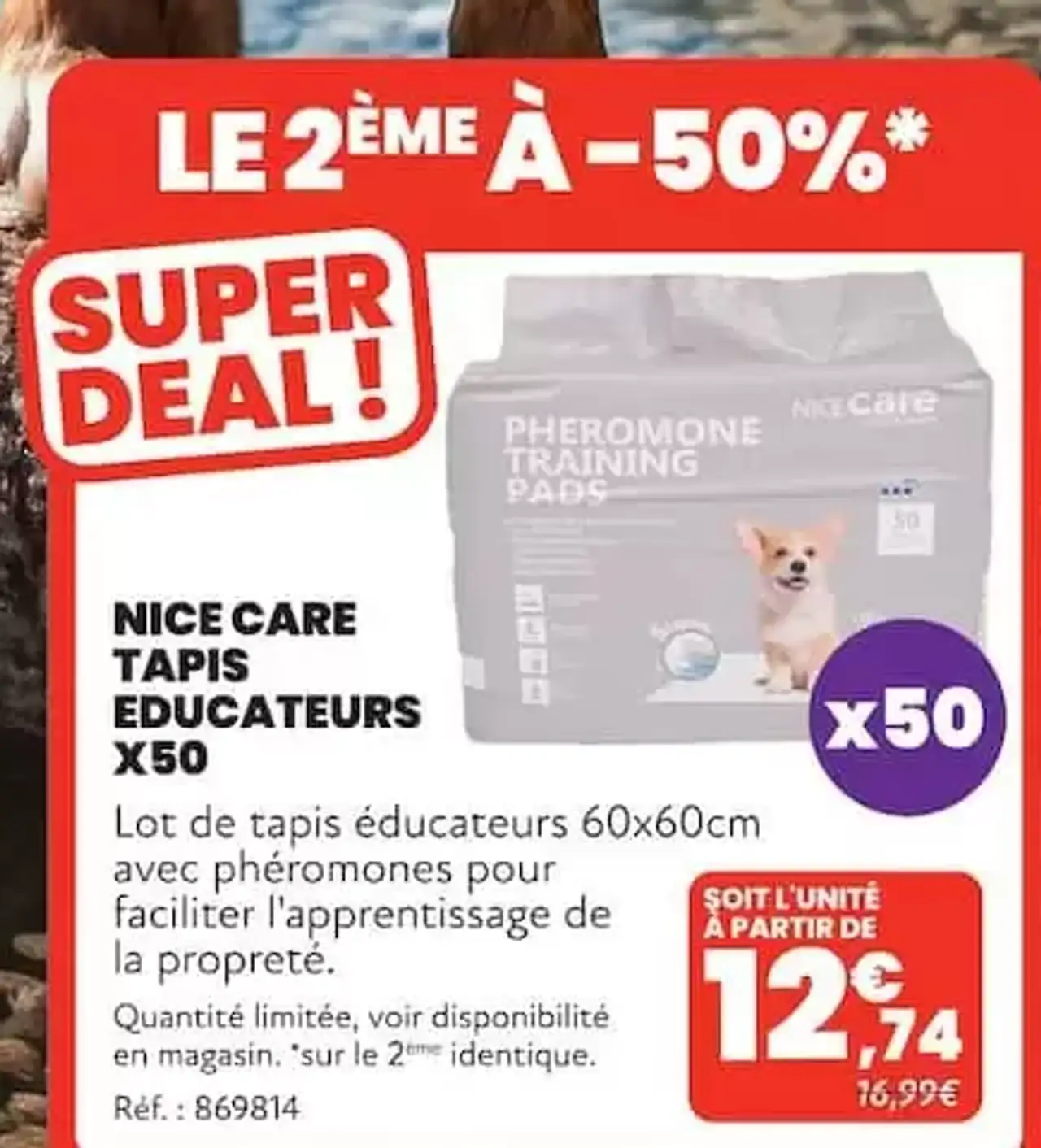 Nice Care Tapis Éducateurs x50