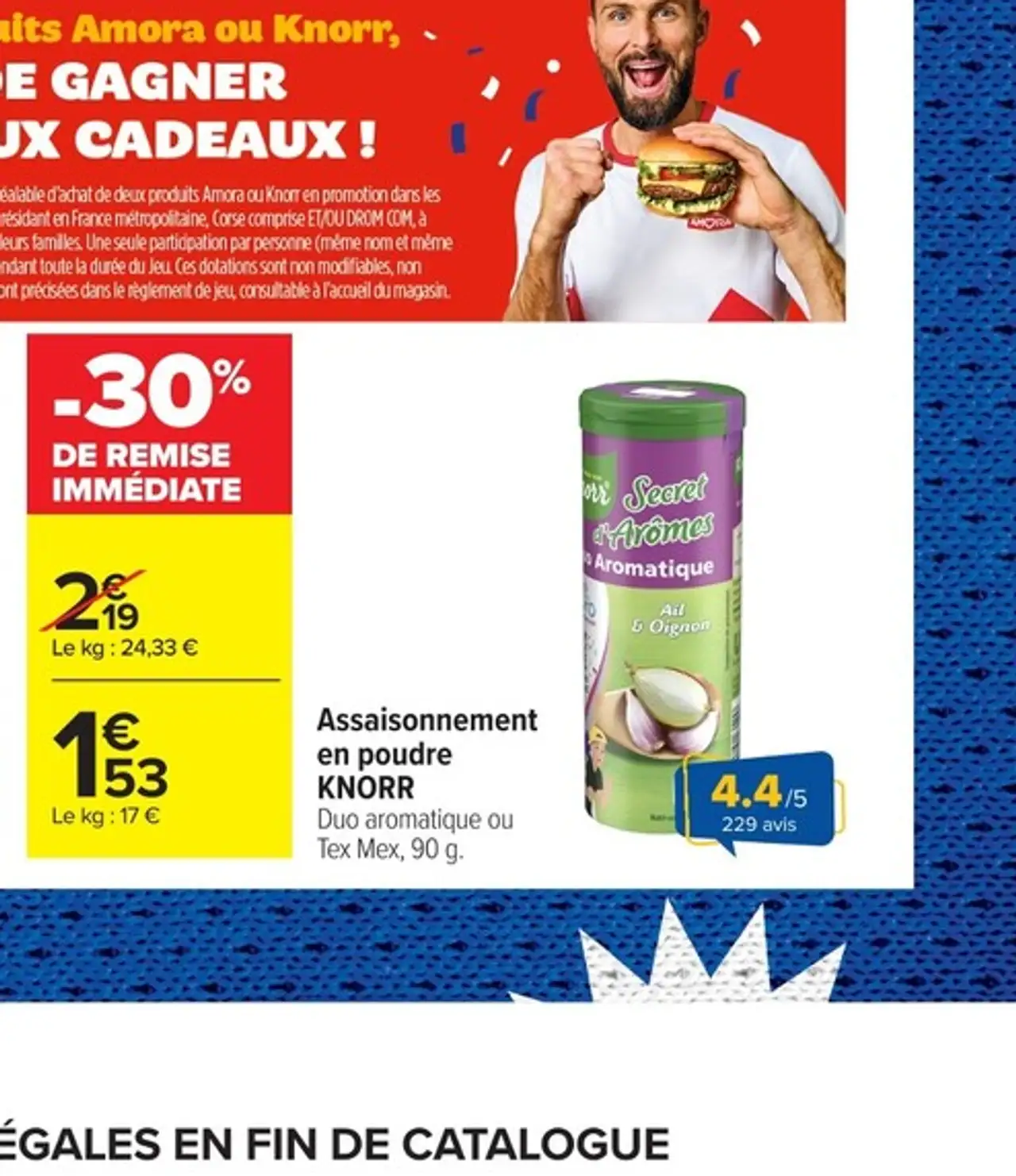 Assaisonnement en poudre KNORR