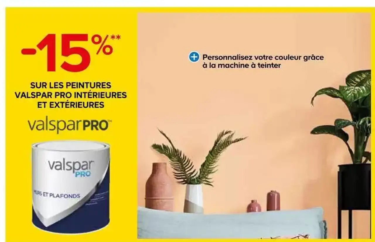 Valspar Pro Peintures intérieures et extérieures