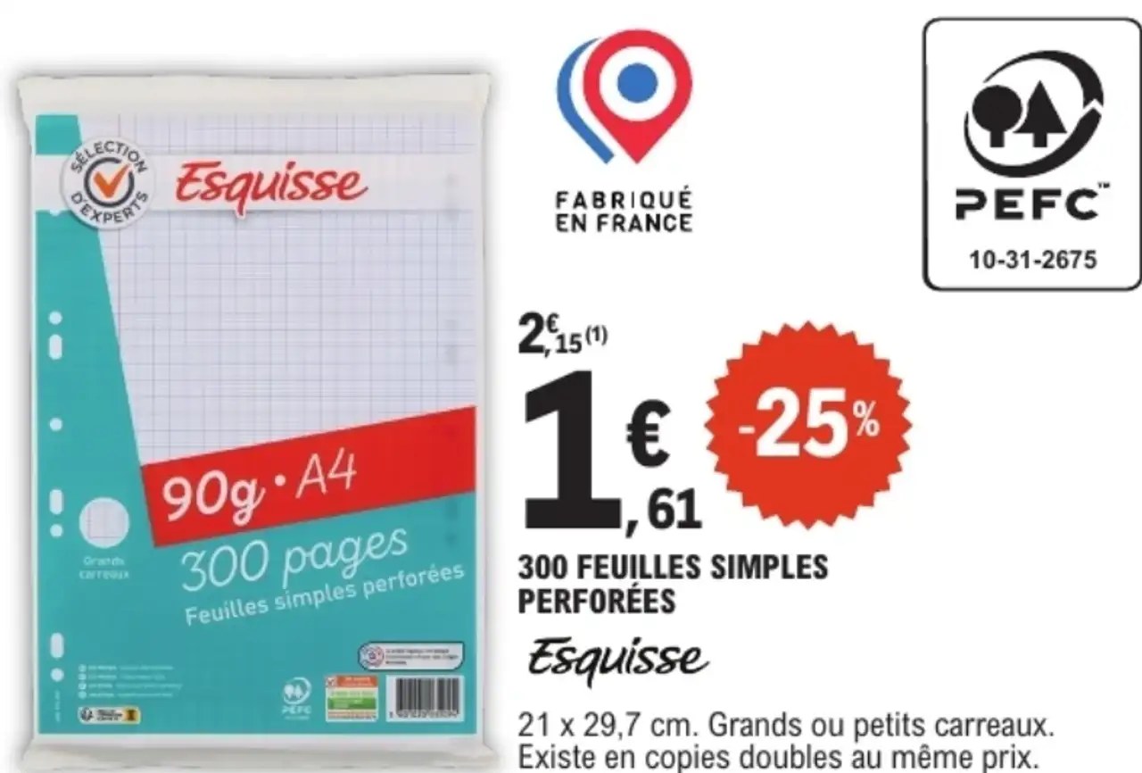 300 feuilles simples perforées Esquisse