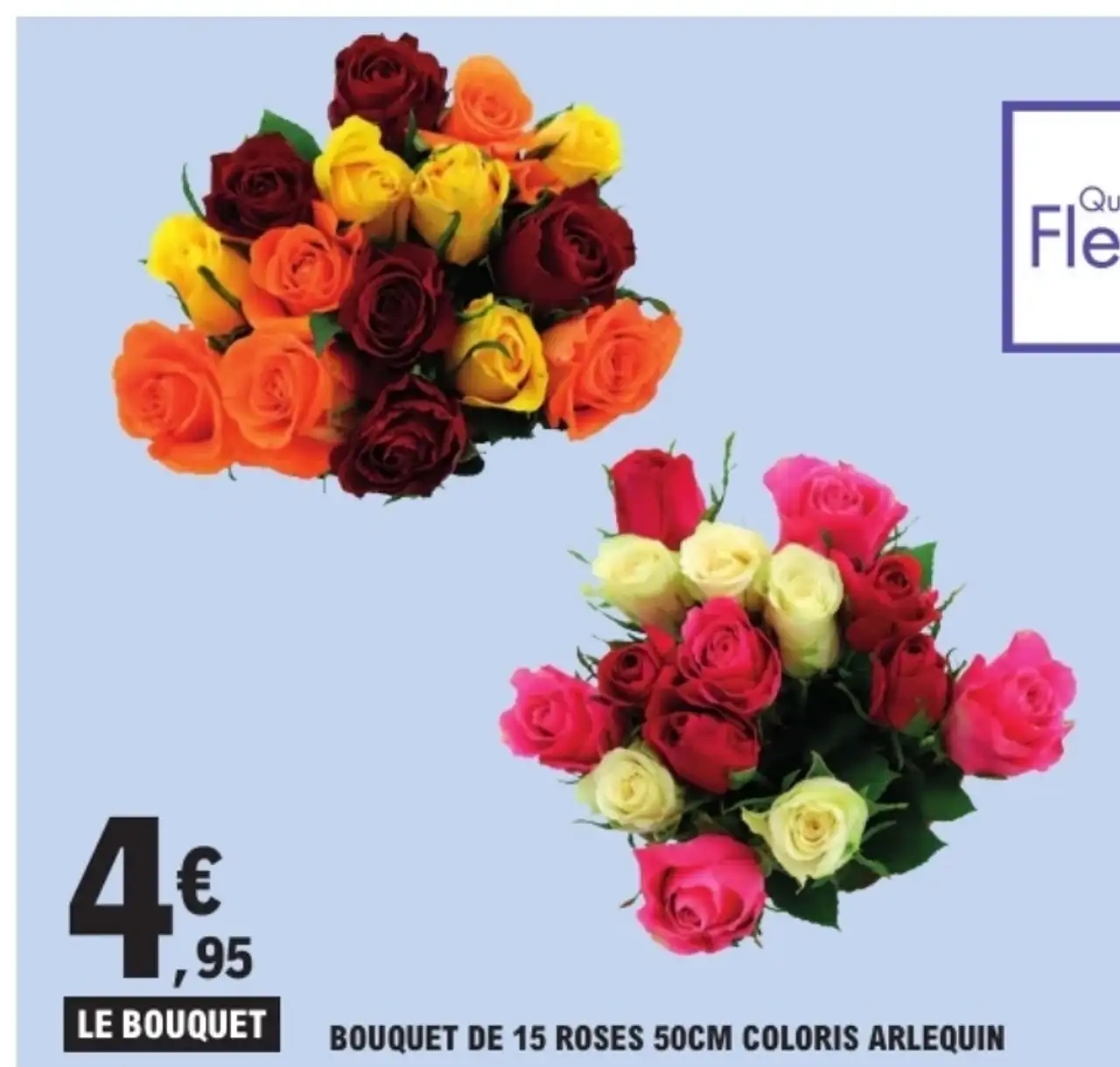 Bouquet de 15 roses 50cm coloris Arlequin Quartier Fleurs